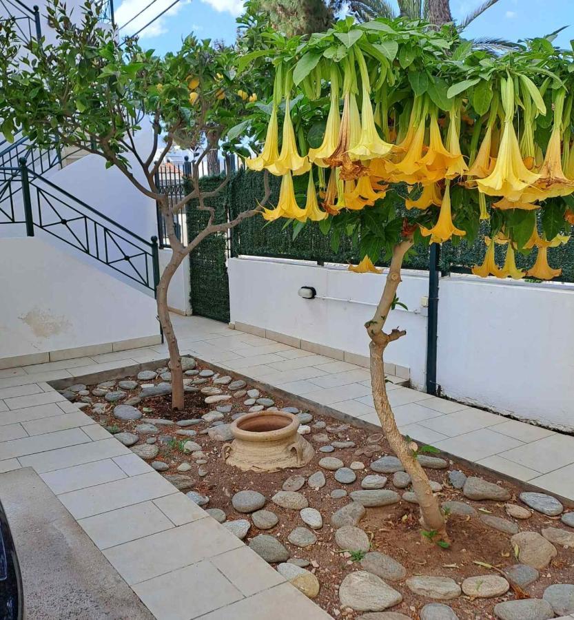 Dimitris Place Near Athens Airport Koropion Exterior photo