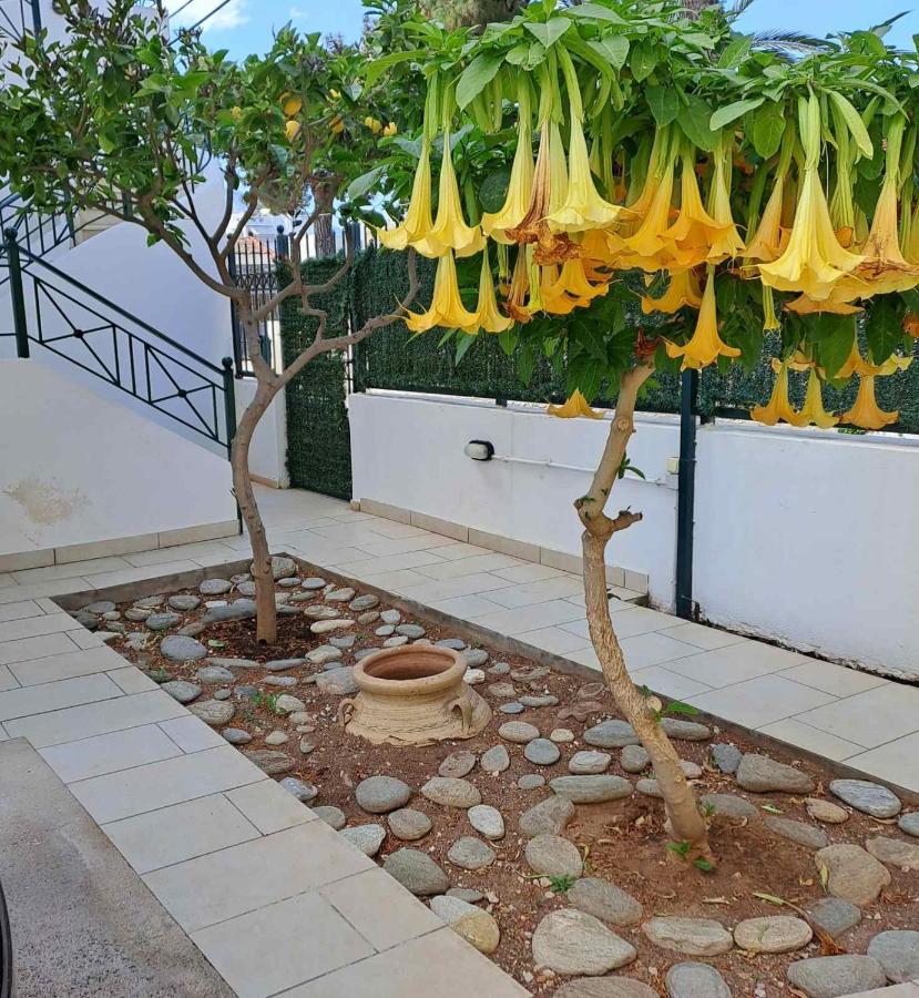 Dimitris Place Near Athens Airport Koropion Exterior photo