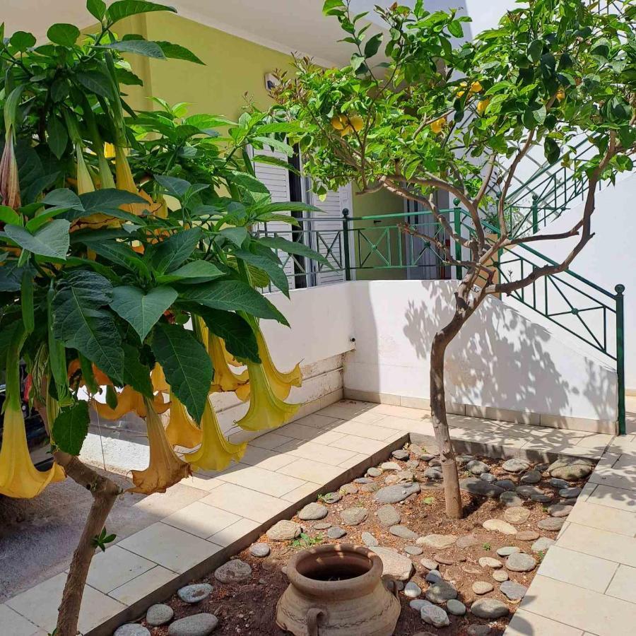 Dimitris Place Near Athens Airport Koropion Exterior photo